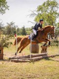 IMG_9359 IMG_9359