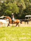 DSC01066 DSC01066
