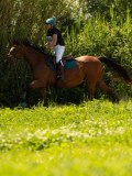 DSC01726 DSC01726