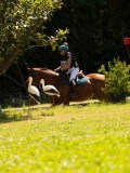 DSC01727 DSC01727