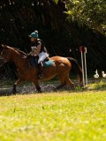 DSC01728 DSC01728