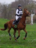 IMG_0266 IMG_0266