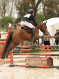 DSC01263 DSC01263