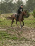 DSC05445 DSC05445