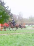 IMG_0177 IMG_0177