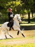 DSC09944 DSC09944