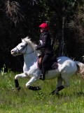 IMG_1504 IMG_1504