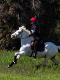 IMG_1505 IMG_1505