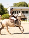 DSC00175 DSC00175