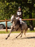 DSC00179 DSC00179