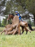 IMG_2737 IMG_2737