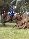 IMG_2739 IMG_2739