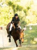 DSC00633 DSC00633