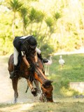 DSC00634 DSC00634