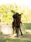 DSC00635 DSC00635
