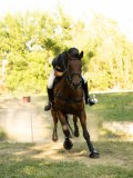 DSC00636 DSC00636