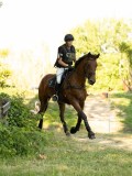 DSC00639 DSC00639