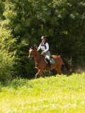 DSC01764 DSC01764