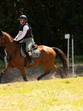 DSC01771 DSC01771