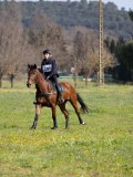 IMG_0087