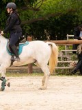 DSC09191