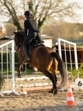 DSC04445