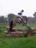 IMG_0595 IMG_0595