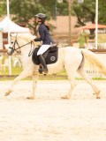 DSC00169 DSC00169