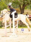 DSC00179 DSC00179