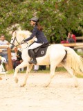 DSC00181 DSC00181