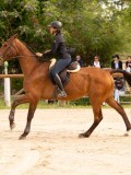 DSC01945