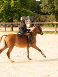 DSC03556 DSC03556