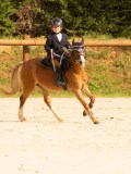 DSC03558 DSC03558