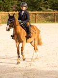 DSC03559 DSC03559