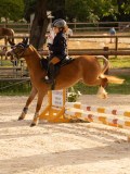 DSC03564 DSC03564