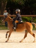 DSC03565 DSC03565
