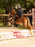 DSC03566 DSC03566