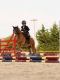 DSC03567 DSC03567