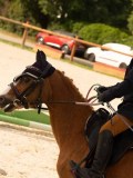 DSC03568 DSC03568
