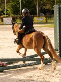 DSC03569 DSC03569