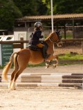 DSC03570 DSC03570
