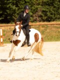 DSC04224 DSC04224