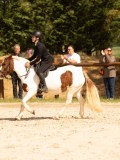 DSC04225 DSC04225