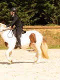 DSC04226 DSC04226