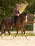 DSC06444 DSC06444