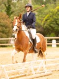 DSC07450 DSC07450