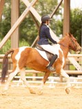 DSC07454 DSC07454