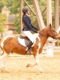 DSC07457 DSC07457
