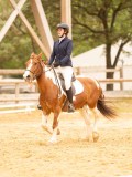 DSC07458 DSC07458