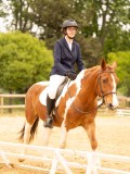 DSC07461 DSC07461